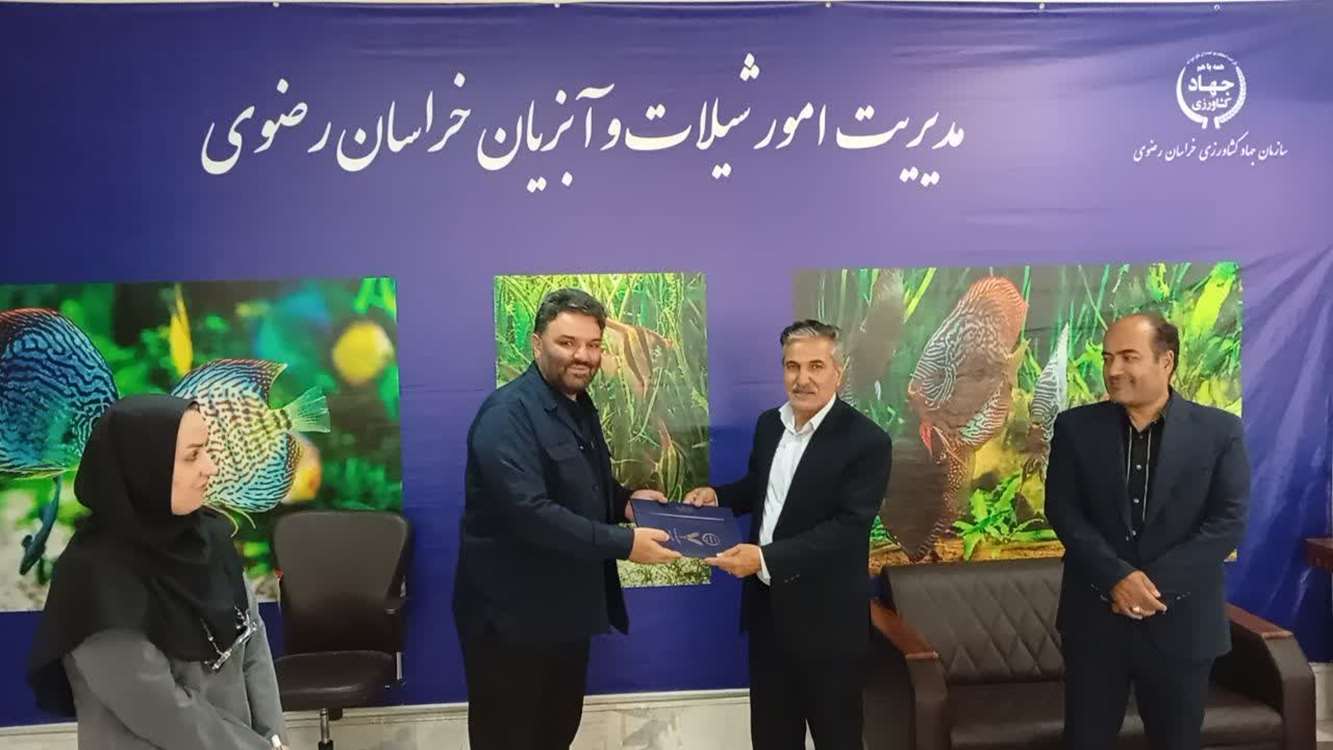 آبزی شیلات 
